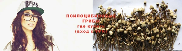 гидра Абдулино