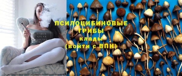 гидра Абдулино