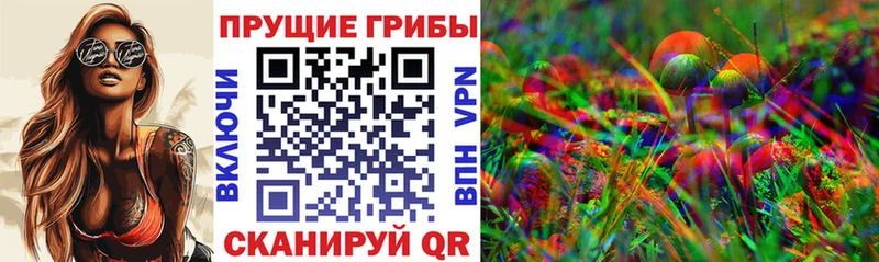 магазин продажи наркотиков  Лебедянь  Галлюциногенные грибы ЛСД 